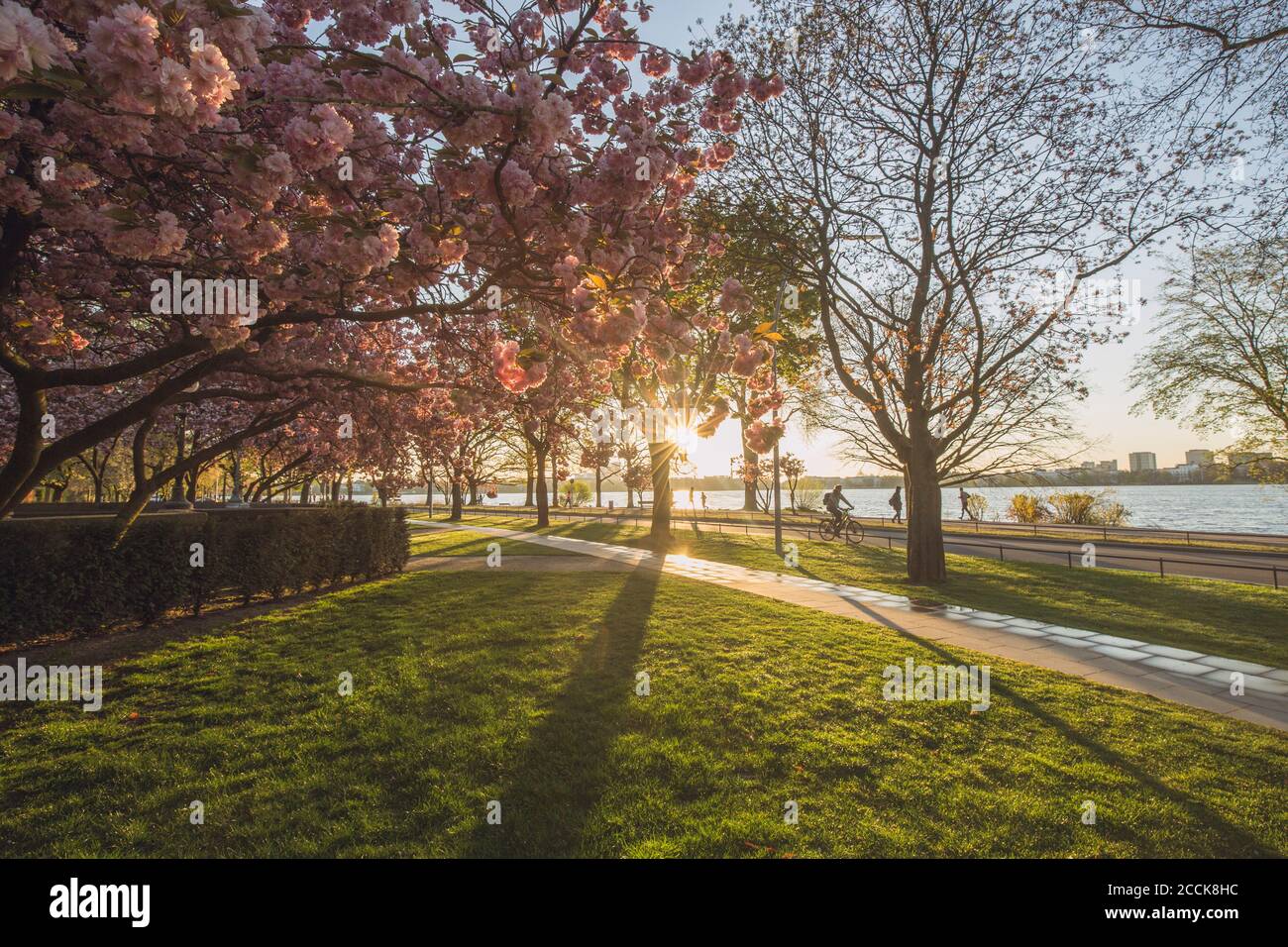 Deutschland, Hamburg, Alsterpark im Frühling von untergehenden Sonnenstrahlen beleuchtet Stockfoto