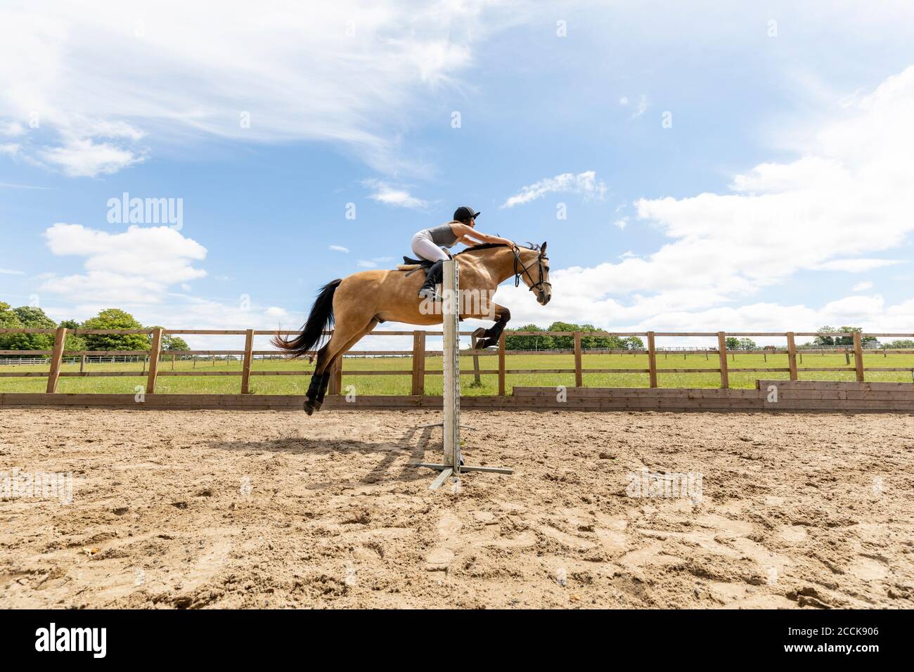 Junge Frau, die auf einem Pferd reitet und über die Hürde springt Stockfoto