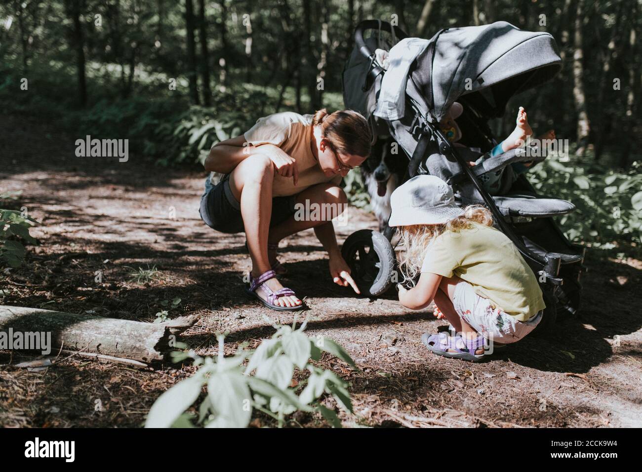 Mutter mit Tochter in einem Wald und beobachtete einen Käfer Der Pfad Stockfoto
