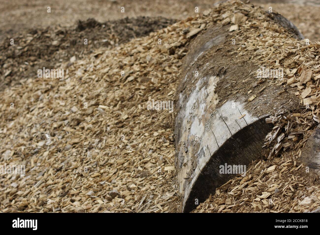 Industrielle Holzspäne Werk Gloucestershire UK Stockfoto