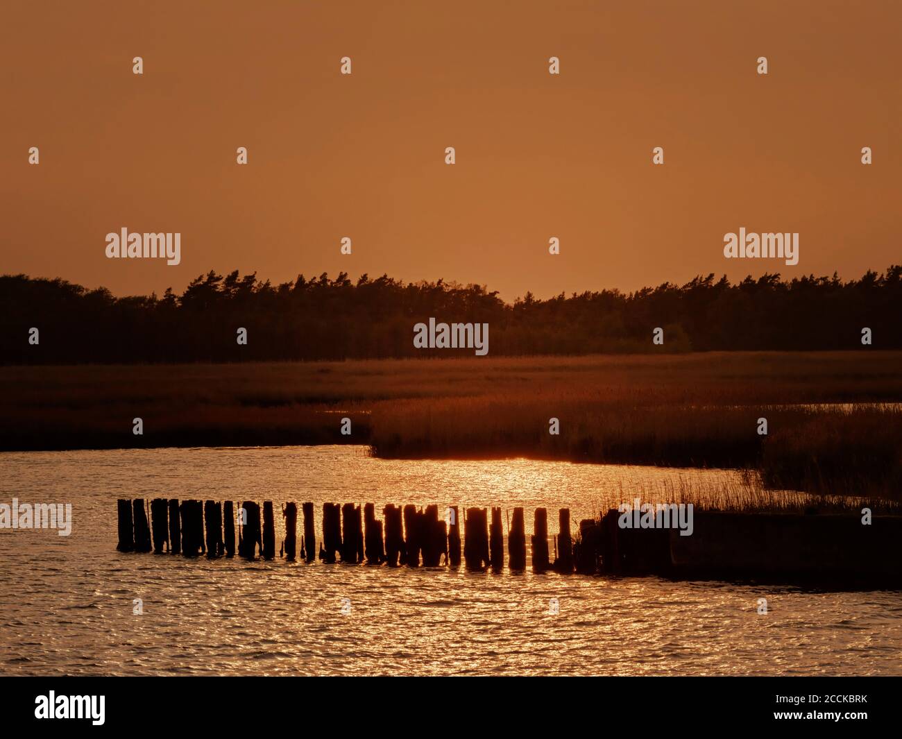 Deutschland, Mecklenburg-Vorpommern, Groyne am Ufer des Nationalparks Lagunenregion Vorpommern bei stimmungsvoller Dämmerung Stockfoto