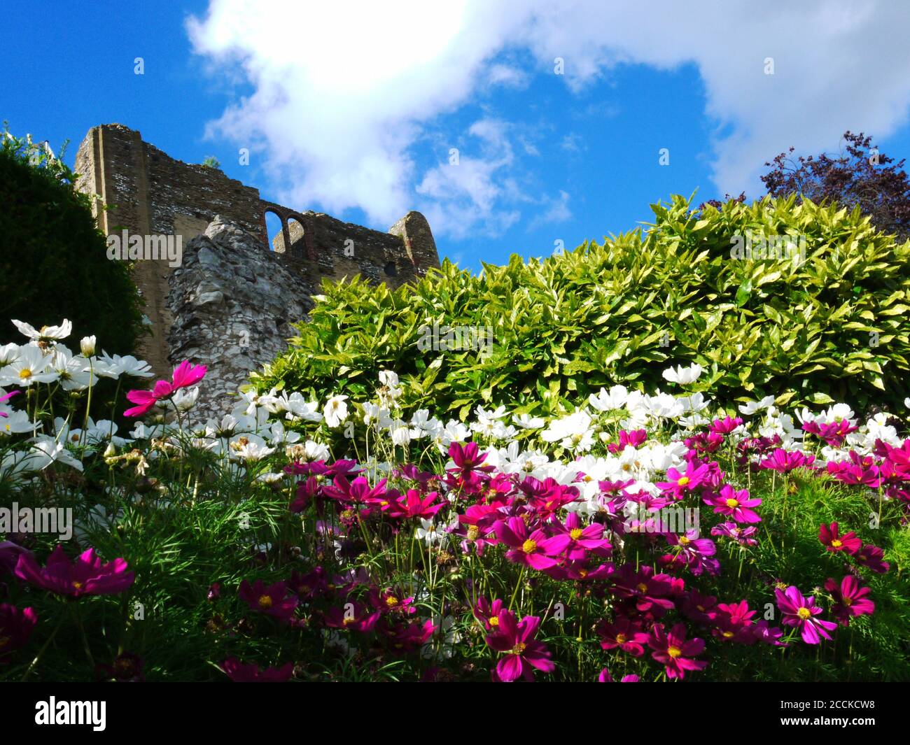 Guildford Castle, Guildford, Surrey, Großbritannien Stockfoto