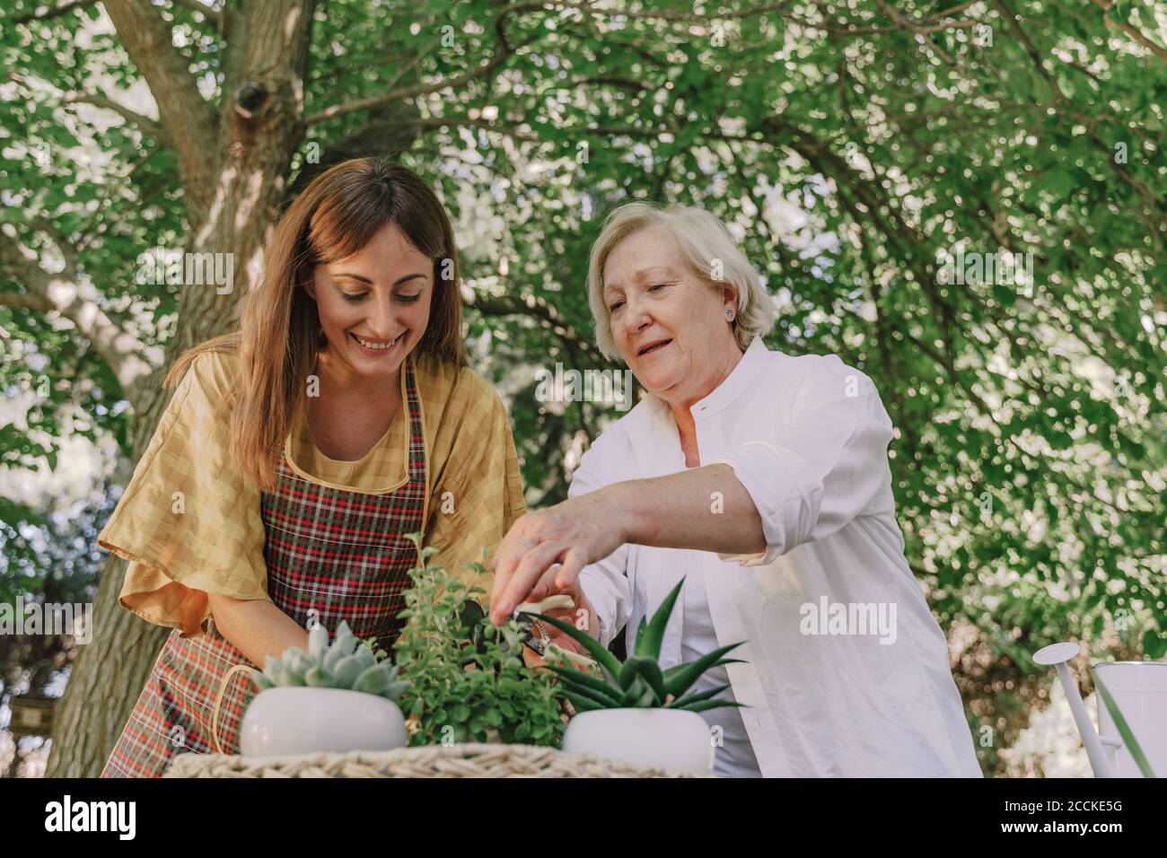 Lächelnde Tochter mit Mutter Pflanzen gegen Bäume im Hof Stockfoto