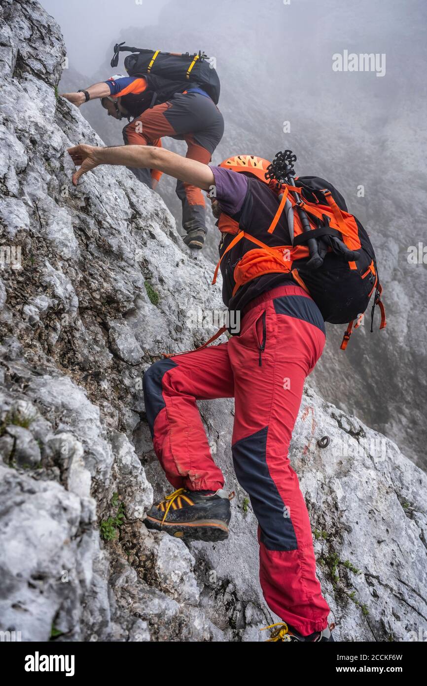 Reife Männchen klettern auf felsigen Berg bei nebligen Wetter, Bergamasque Alpen, Italien Stockfoto