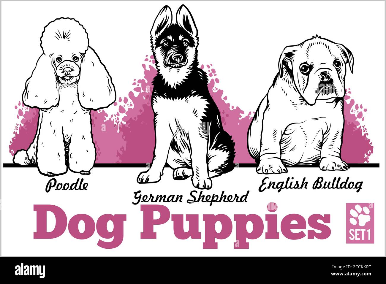 Englisch Bulldog, Pudel und Schäferhund - Hund Welpen. Vektorset. Lustige Hunde Welpen Haustier Zeichen verschiedene Brote doggy Illustration isoliert auf Stock Vektor