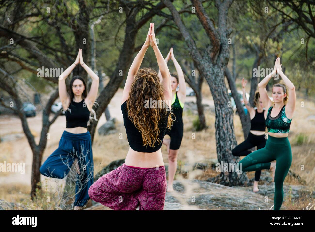 Frauen in Baumhaltung trainieren, während sie auf einem Bein stehen Im Wald Stockfoto