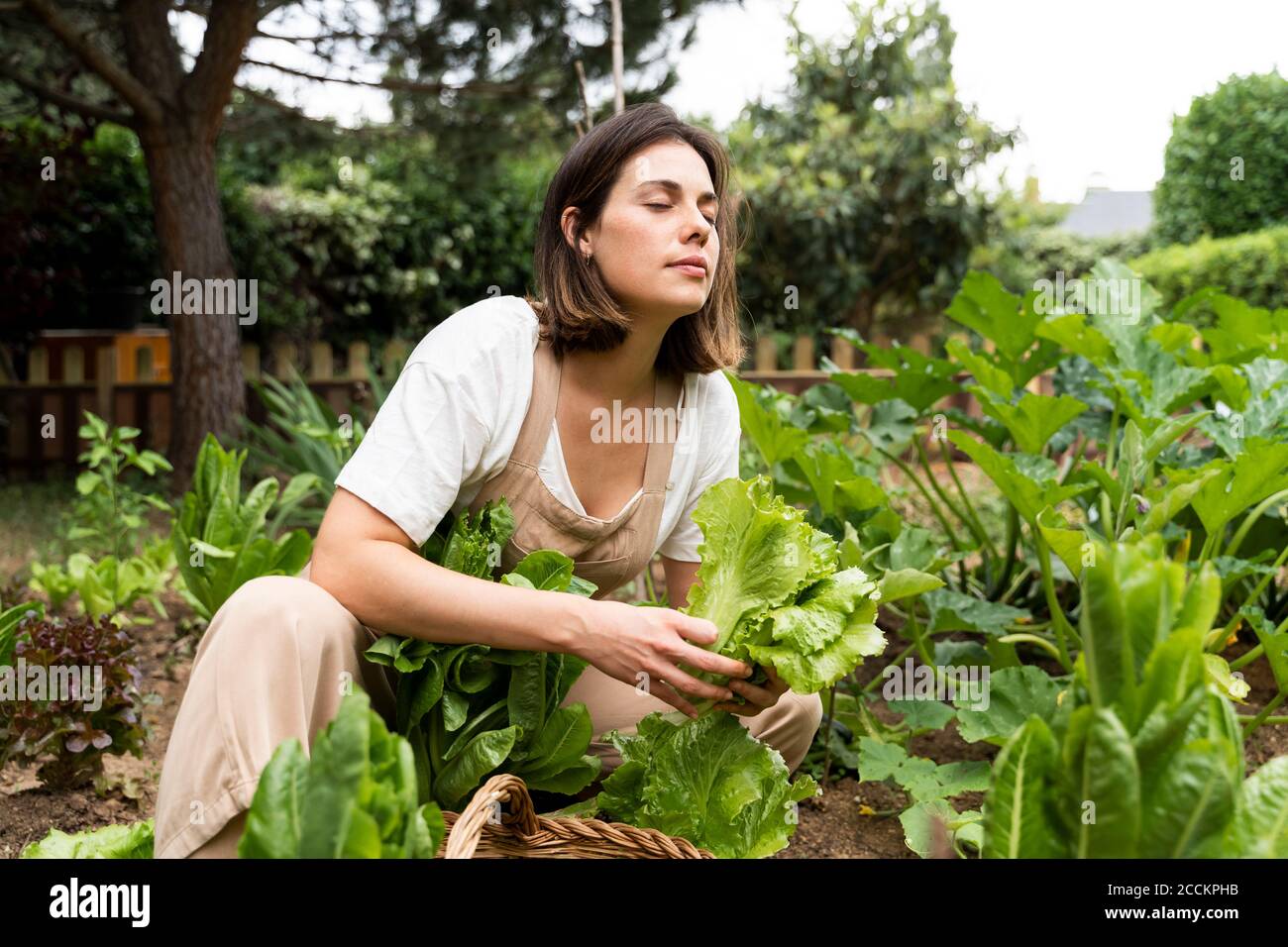 Junge Frau mit geschlossenen Augen hält Salat beim Einhocken Gemüsegarten Stockfoto