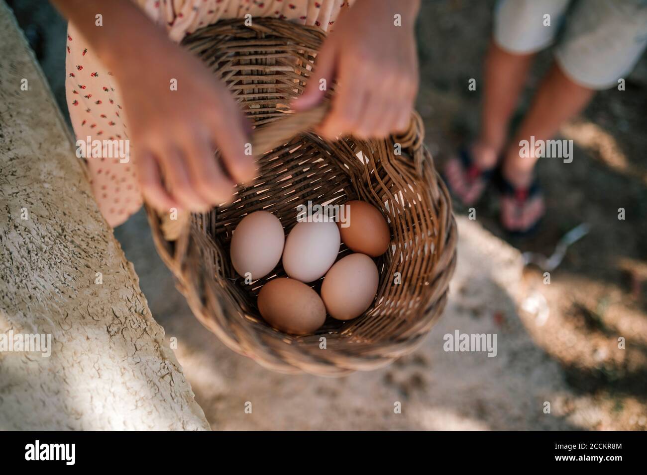 Mädchen hält Korb mit Eiern in Hühnerfarm Stockfoto