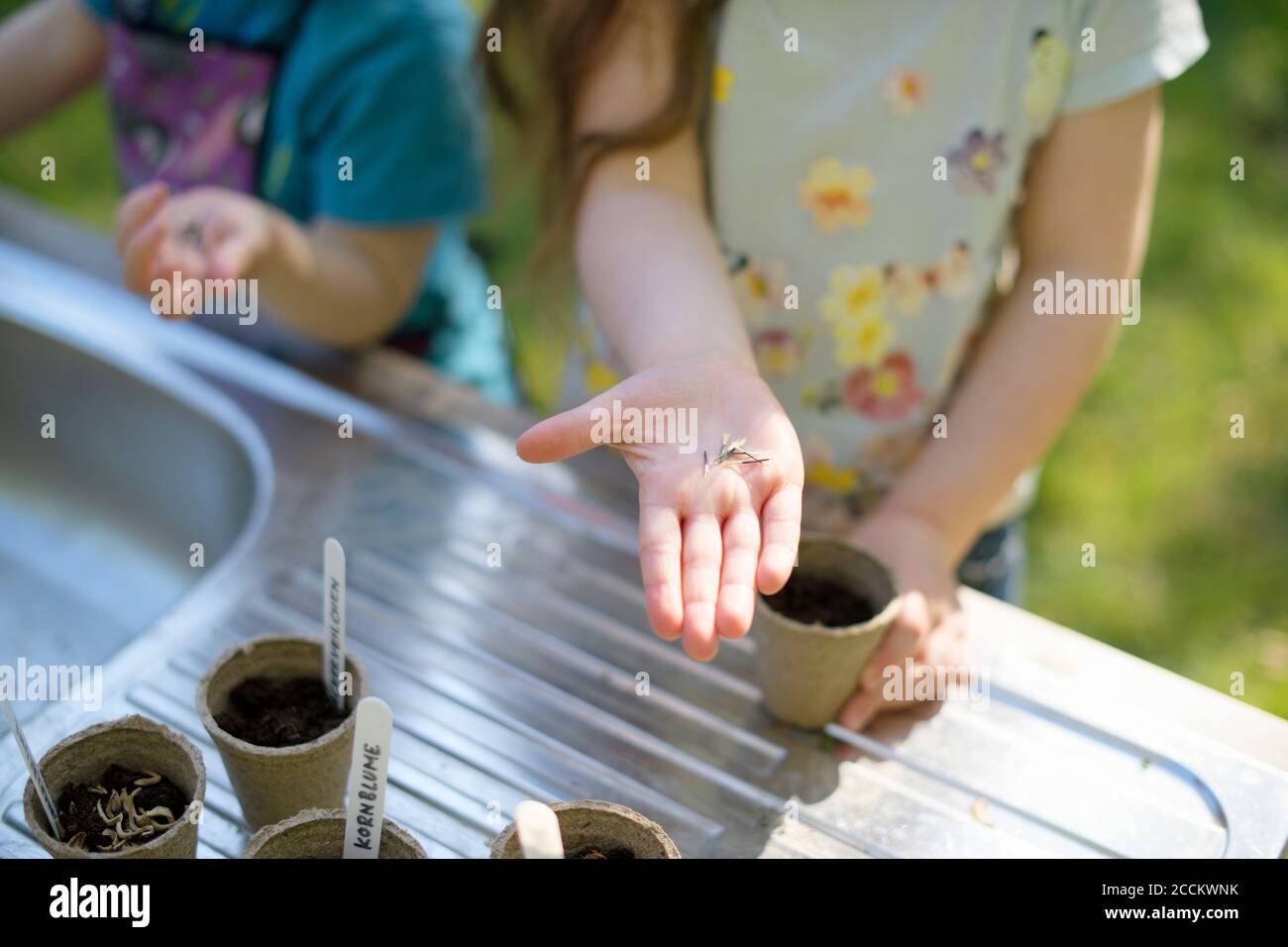 Mädchen Hand hält Samen während der Gartenarbeit mit Schwester am Tisch Im Garten Stockfoto