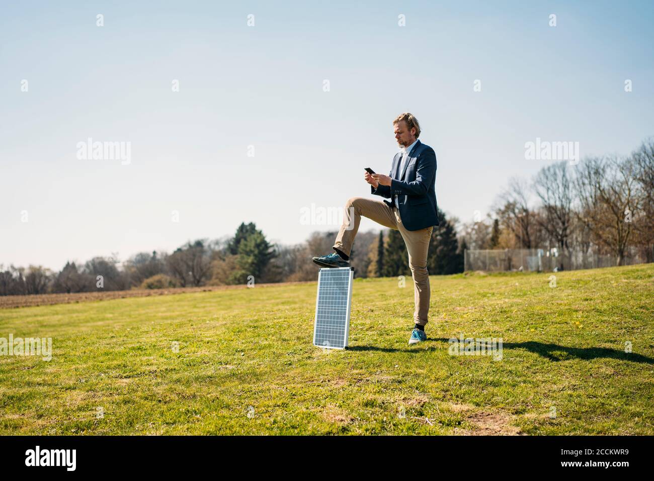 Männlich Profi mit Smartphone, während mit Solarpanel stehen Auf dem Rasen im Park gegen klaren Himmel während des sonnigen Tages Stockfoto