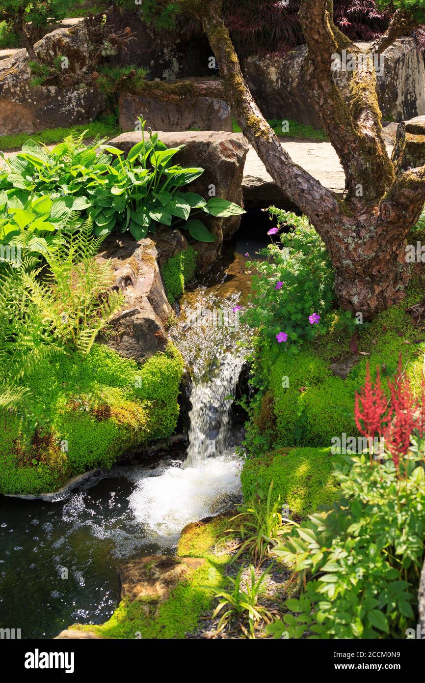 Wasserfall umgeben von üppiger grüner und orangefarbener Vegetation an einem hellen Sommertag. Stockfoto