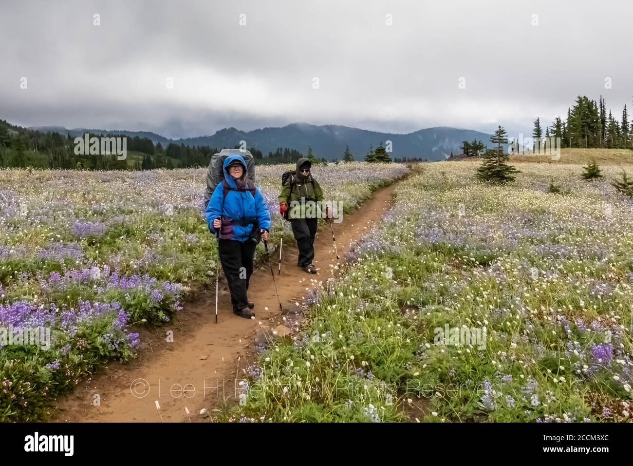 Die Wanderer Karen Rentz und Joan Michaels entlang des Pacific Crest Trail in der Goat Rocks Wilderness, Gifford Pinchot National Forest, Washington State, USA Stockfoto