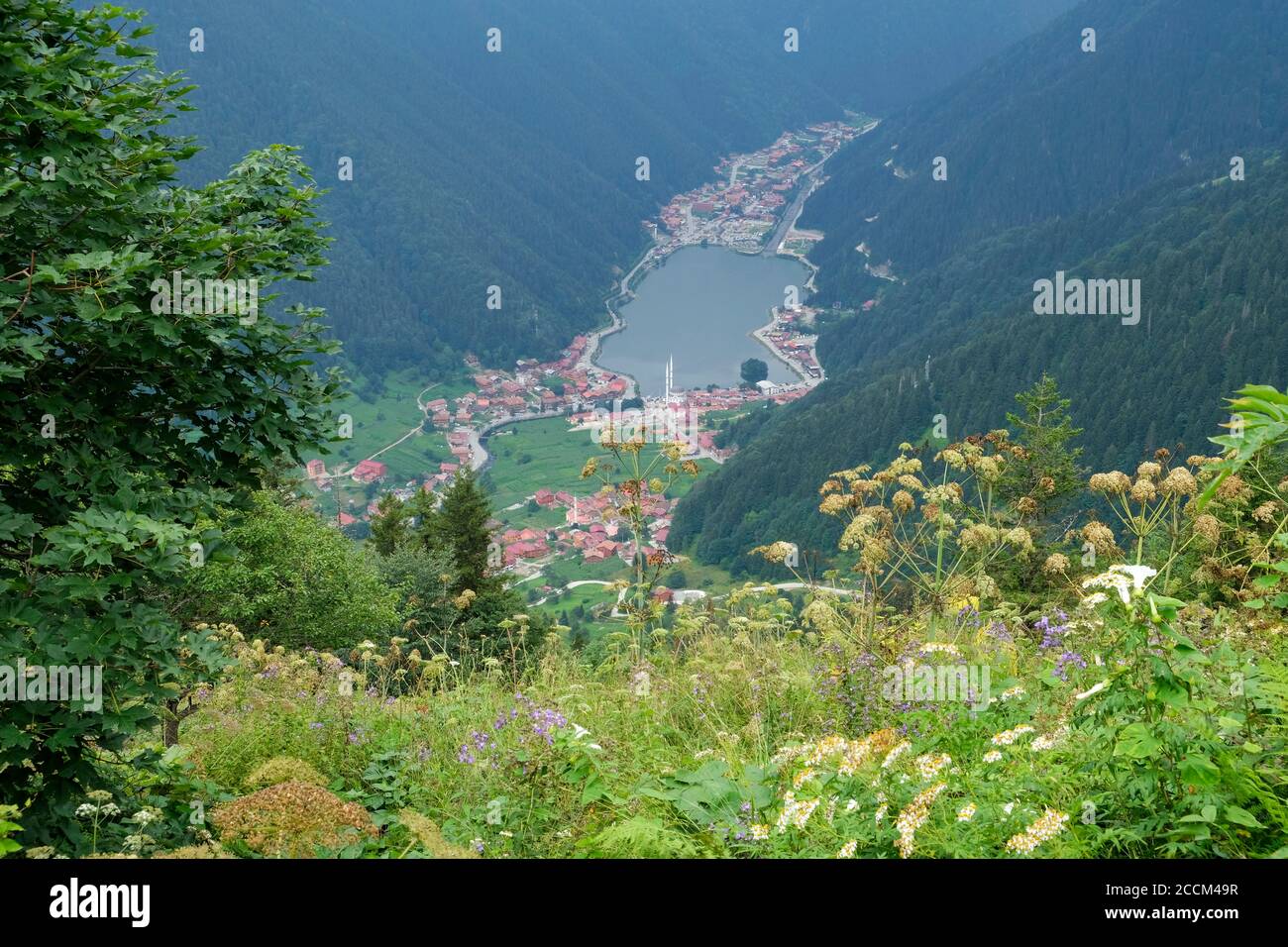 Uzungöl im Stadtteil Çaykara von trabzon bietet eine schöne Aussicht von den Hügeln. Stockfoto