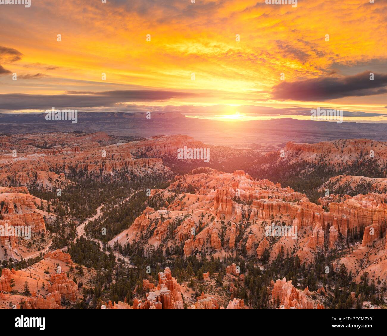Bryce Canyon National Park, Utah, USA, in der Morgendämmerung. Stockfoto