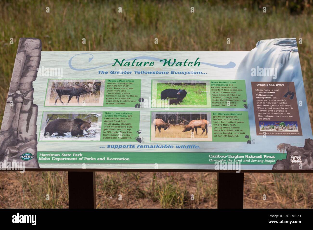 Mesa Falls Scenic Byway, Idaho / USA - 20. Juli 2014: Ein Schild mit Informationen über Natur und Tierwelt im umliegenden Wald von Mesa Falls SC Stockfoto