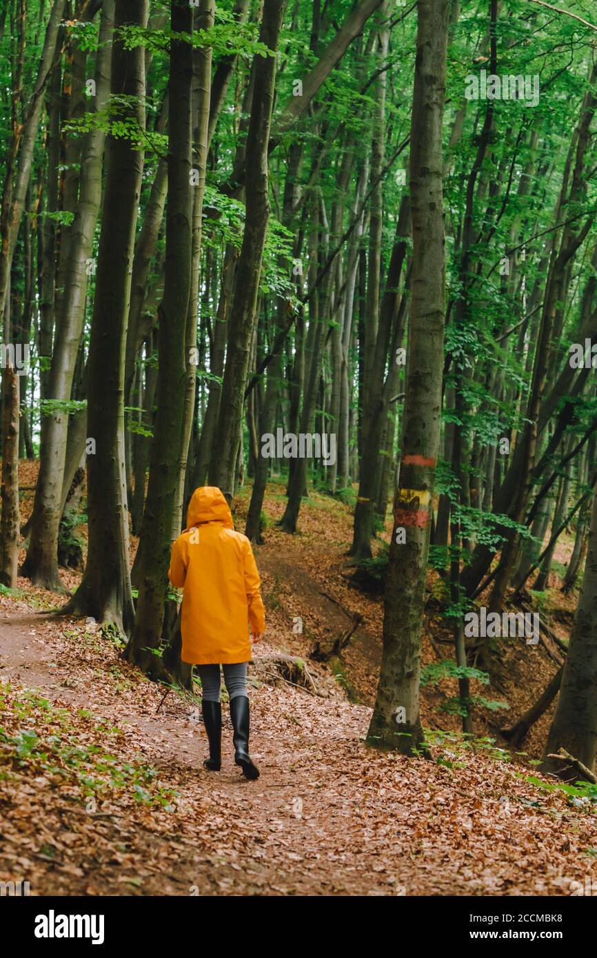 Frau in gelber Regenjacke, die durch den Regenwald läuft Stockfoto