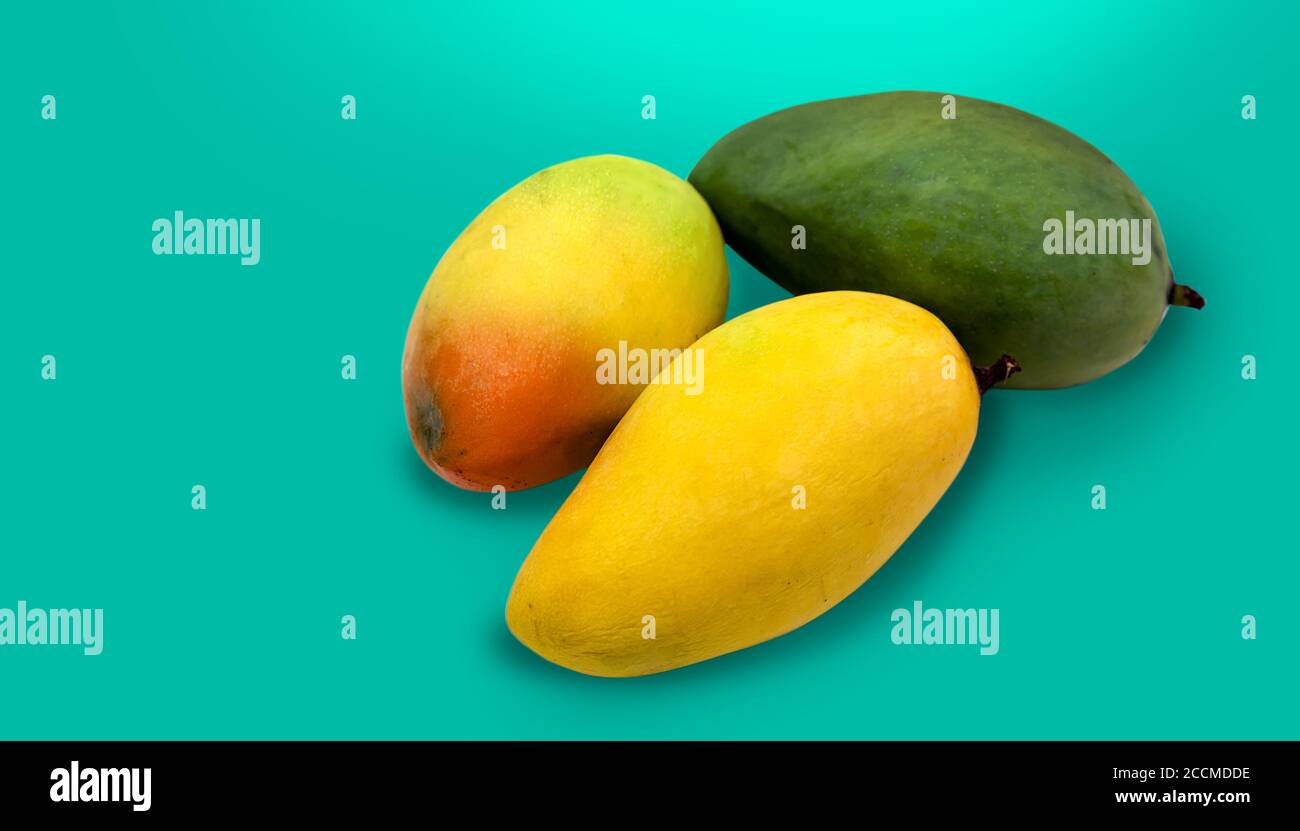 Mix Rasse von Mango auf blauisoliert in asiatisch (einschließlich Pfad) Stockfoto