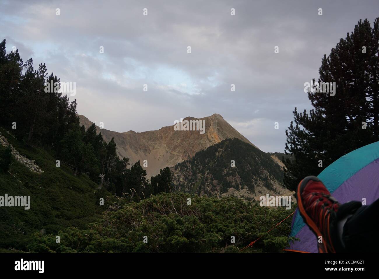 Schöne Aufnahme eines wilden Parks während eines Campingausflugs Stockfoto