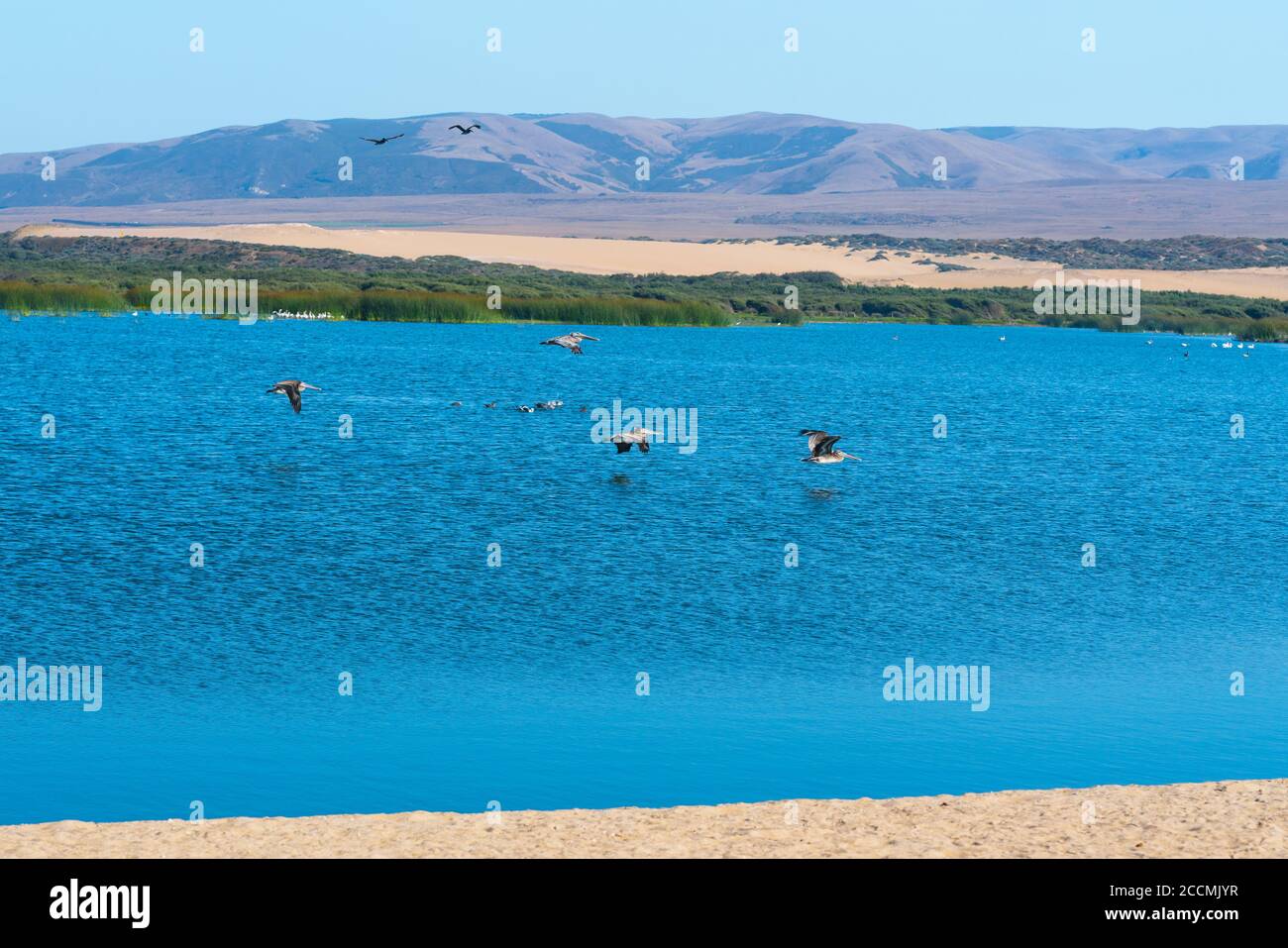 Blauer Fluss und Schar fliegender Vögel, Sanddünen, Berge und blauer Himmel auf dem Hintergrund. Stockfoto