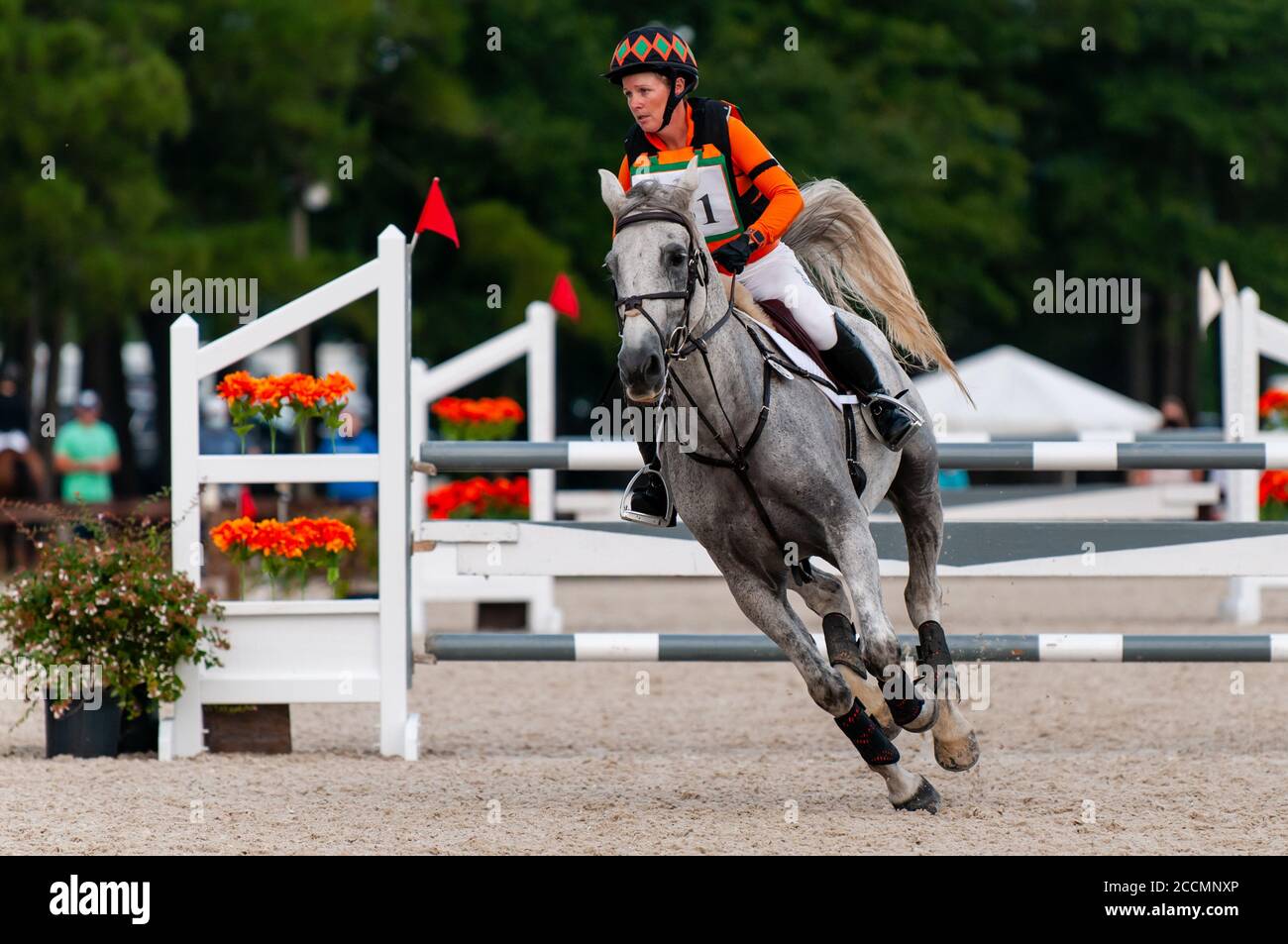 Raeford, North Carolina, USA. August 2020. 23. August 2020 - Raeford, North Carolina, USA - DARYL KINNEY reitet Monte Carlo im Stadionspringen bei der 2020 war Horse Event Series, 23. August im Carolina Horse Park in Raeford, N.C. Die 2013 als Cabin Branch Event Series gegründete war Horse Event Series besteht aus fünf Pferdeversuchen und kombinierten Tests und zieht Reiter und ihre Pferde aus dem gesamten Osten der Vereinigten Staaten an. Quelle: Timothy L. Hale/ZUMA Wire/Alamy Live News Stockfoto