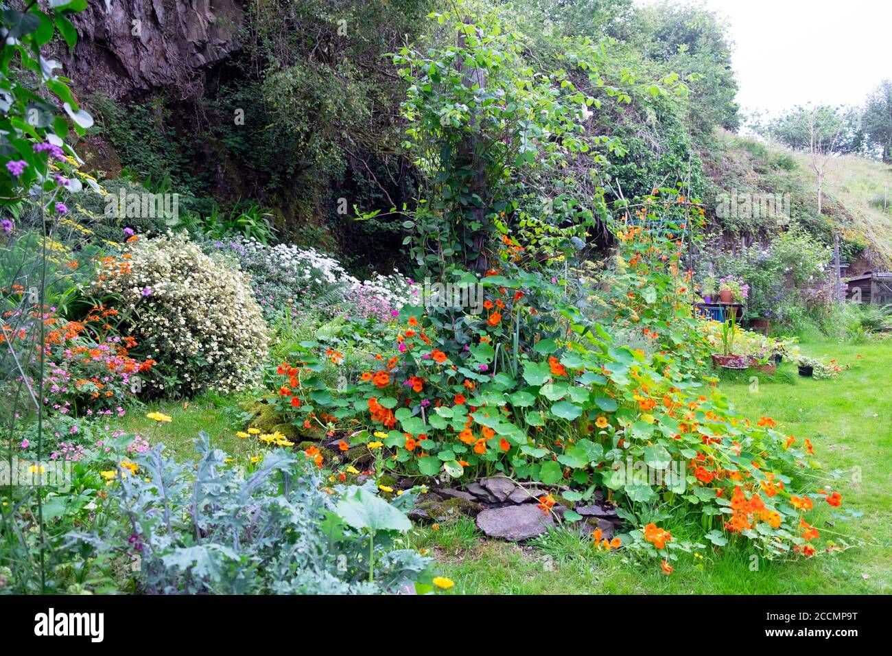 Blick auf den kleinen Landgarten, der Gemüse und Blumen anbaut August Sommer in Carmarthenshire Wales UK KATHY DEWITT Stockfoto