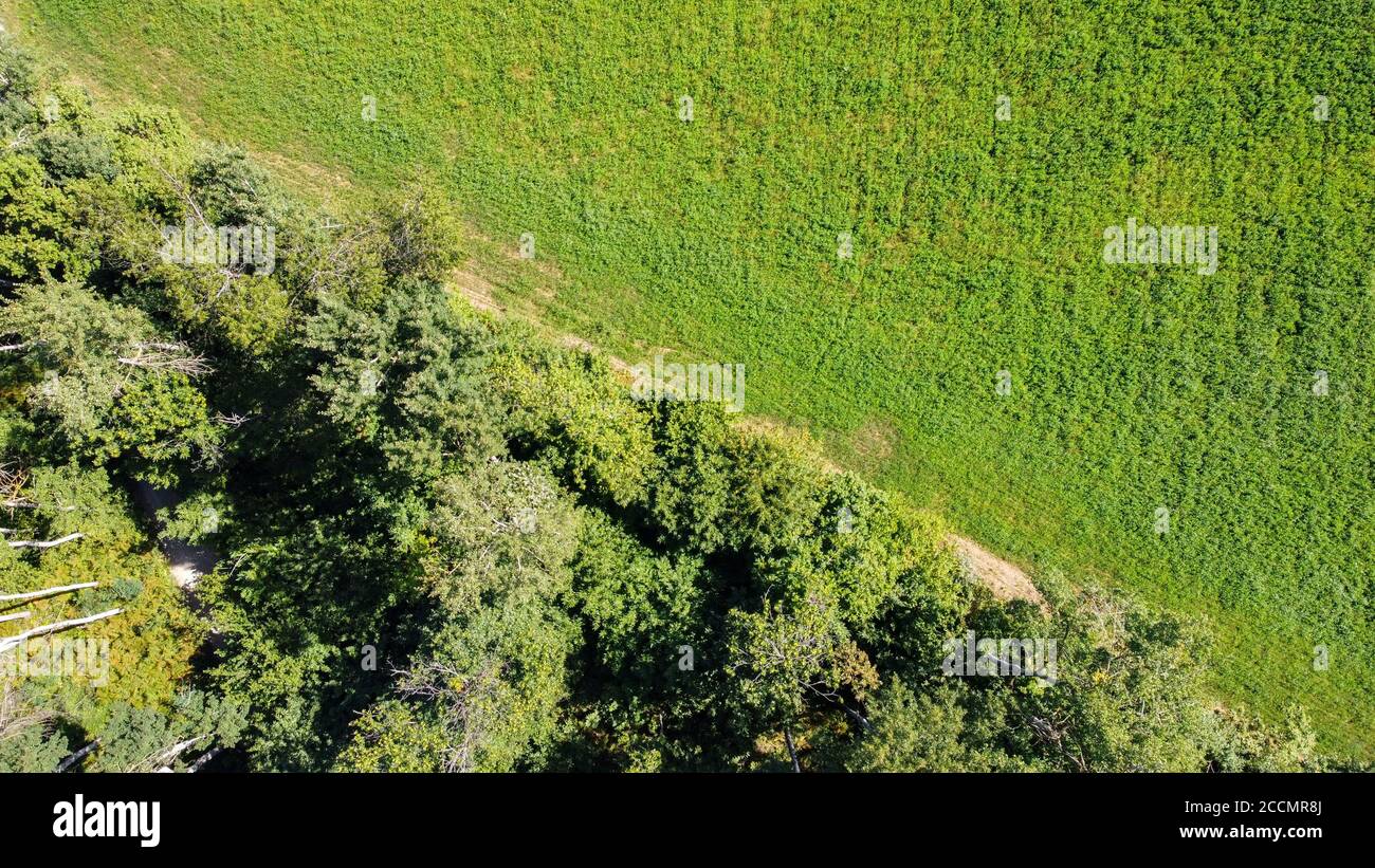 Luftaufnahme der italienischen Landschaft mit Muster von Straßen gezeichnet Und Wiesen Stockfoto