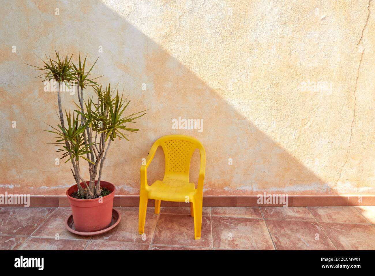 Gelber Kindersitz unter dem Schatten der Handfläche Stockfoto
