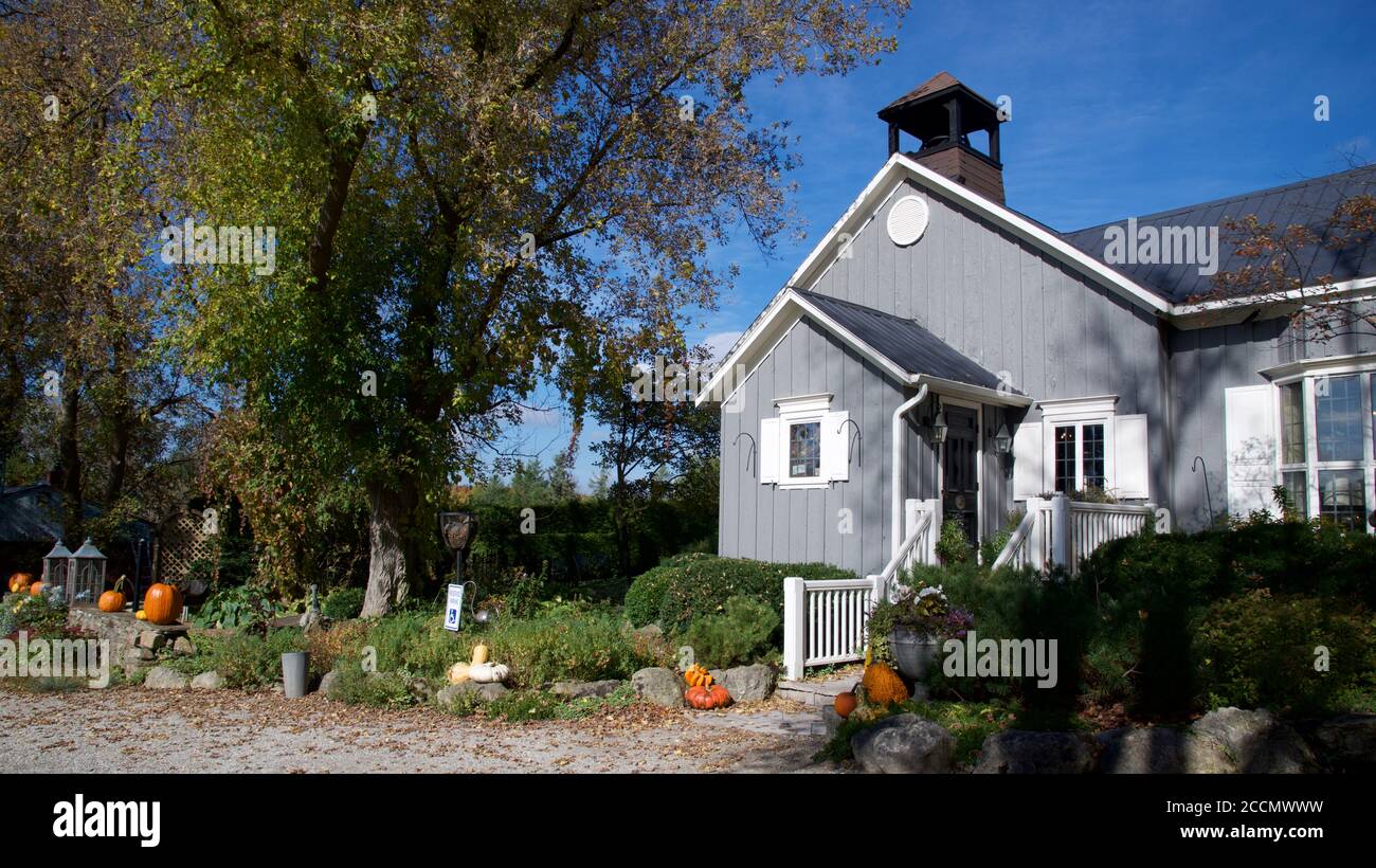 Garten Vorgarten Design mit Kürbissen Dekoration Stockfoto
