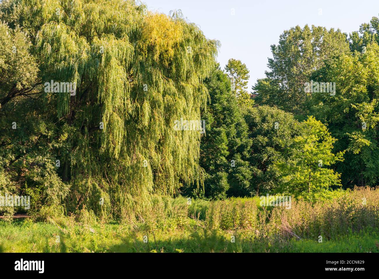Frontier Park Naturszenen in Erie, Pennsylvania Stockfoto