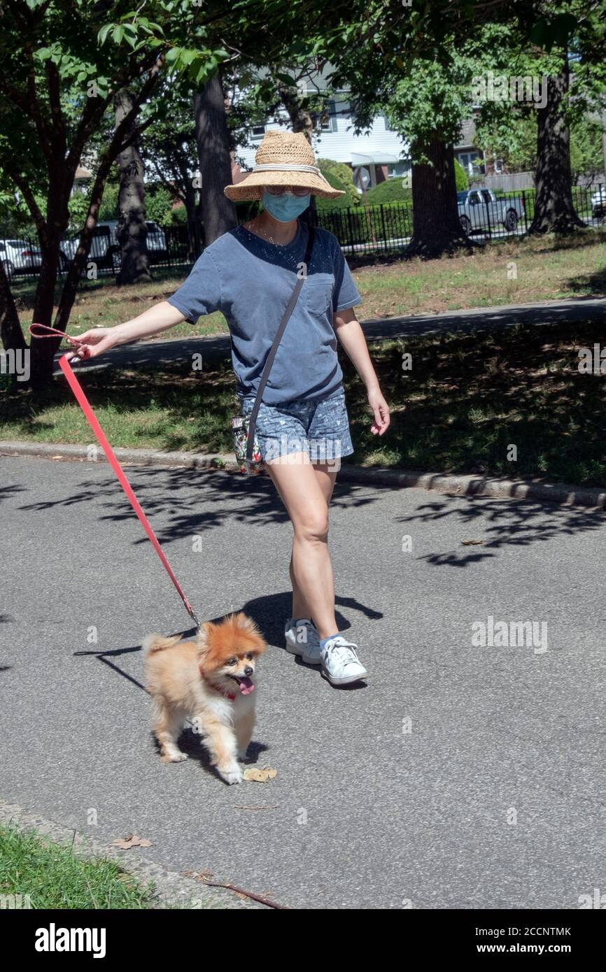 Eine asiatisch-amerikanische Frauen, die eine Maske trägt, geht mit ihrem Haustier Pekingese Hund in einen Park. In Flushing, Queens, New York City. Stockfoto