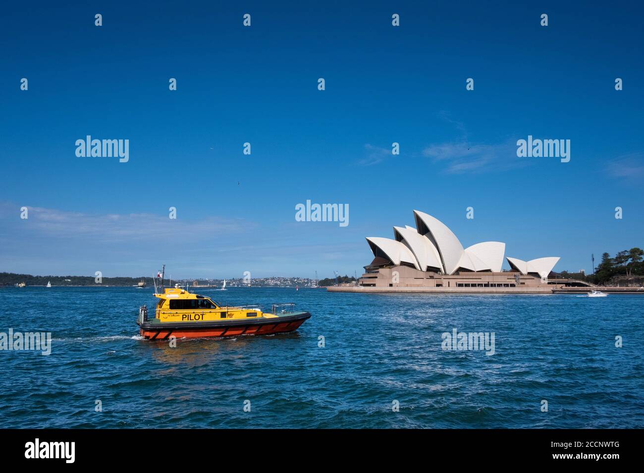 Pilotboot, das große Schiffe in Syndeys Hafen führt. Opernhaus im Hintergrund. Sydney, Australien Stockfoto