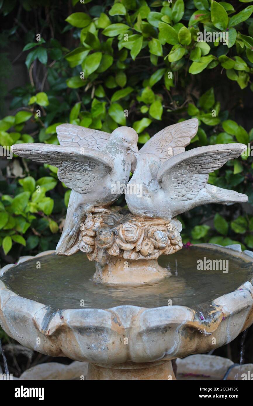 Zwei süße Vögel küssen sich auf einen romantischen Brunnen Stockfoto