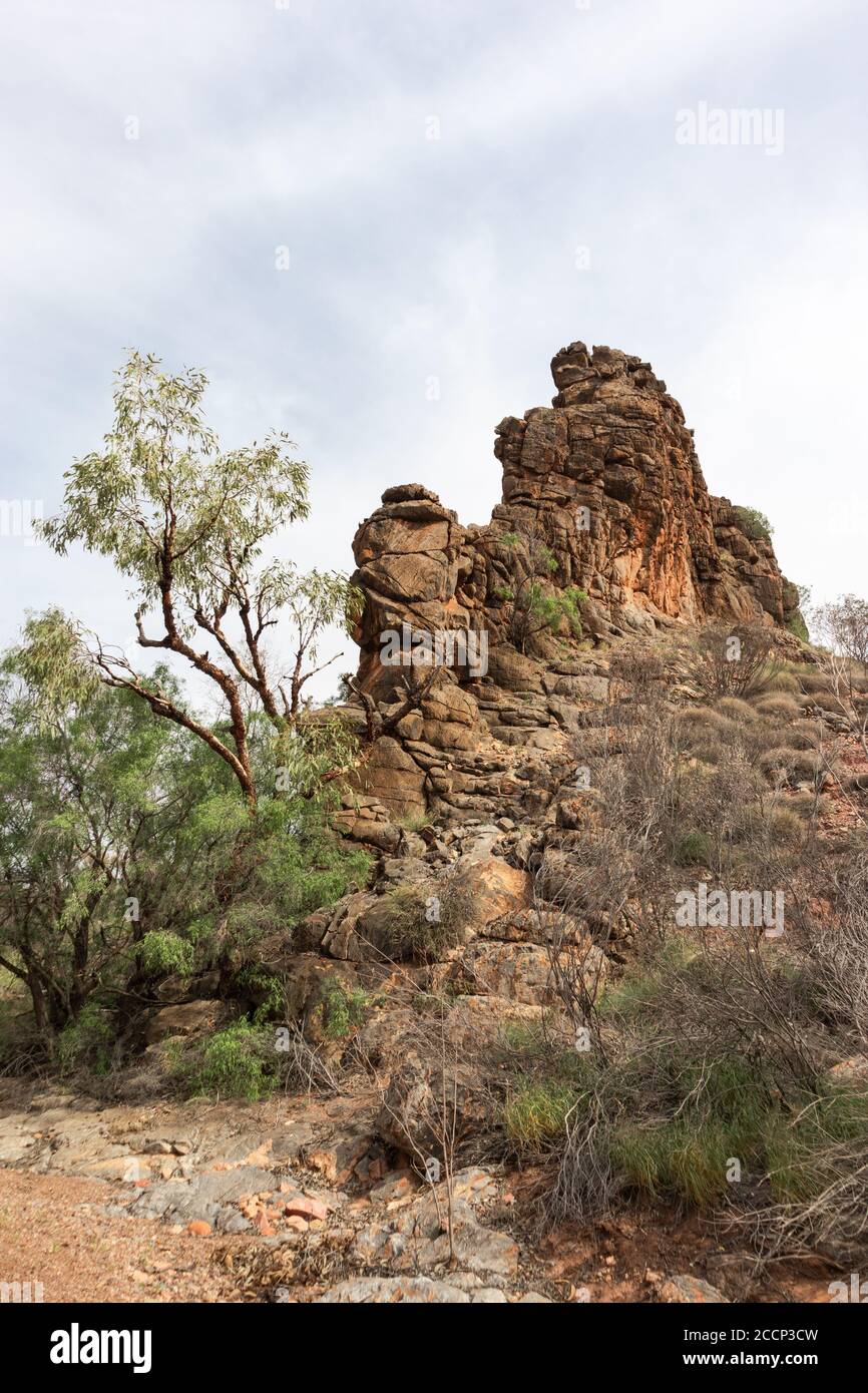 Corroboree Rock: Heiliger australischer Urgestein, in der Nähe von Alice Springs. Vertikale flache Formation, orange Farben. West MacDonnell Ranges, Australien Stockfoto