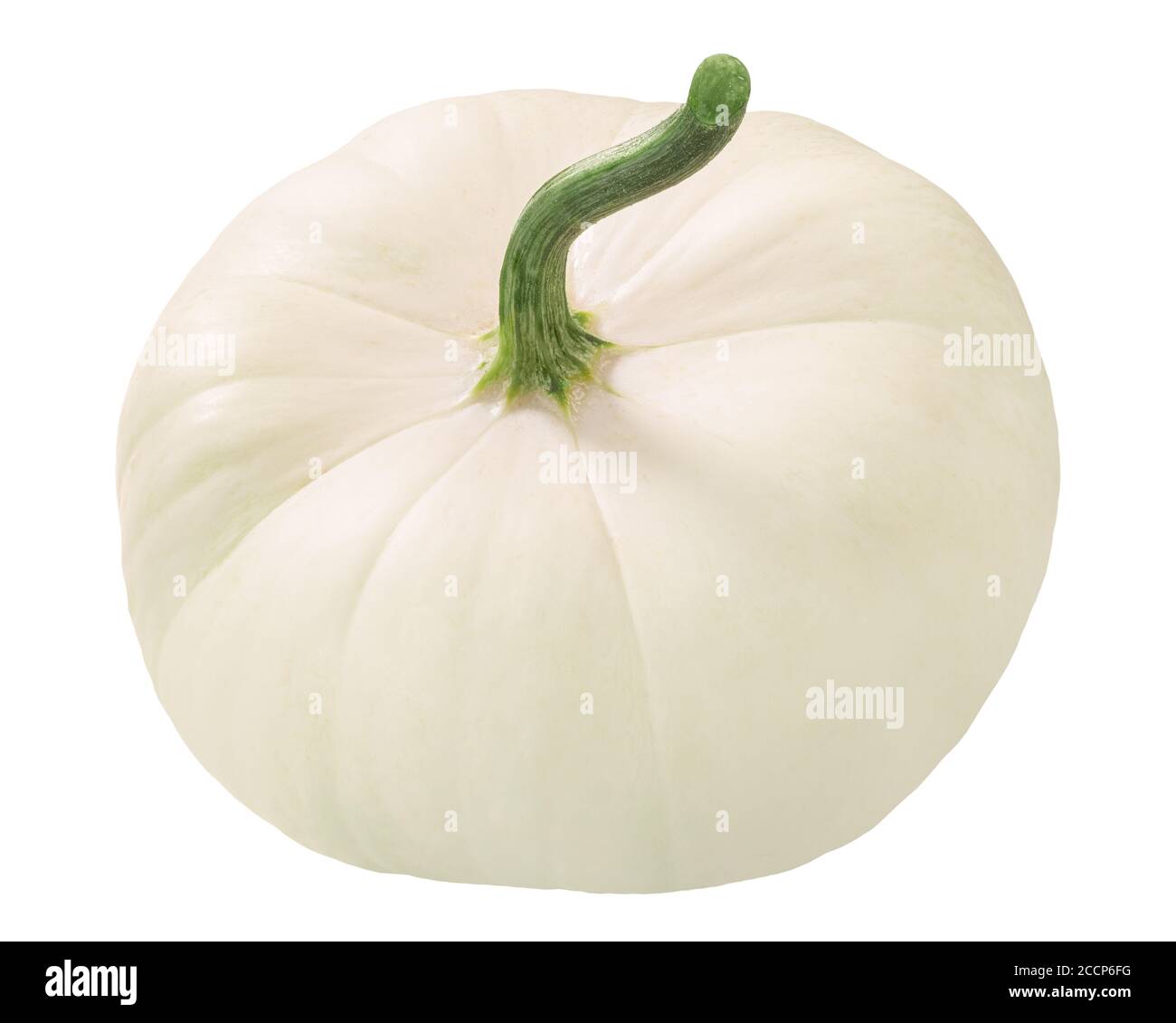 Weißer Pattypan Squash (Cucurbita pepo fruit) isoliert Stockfoto