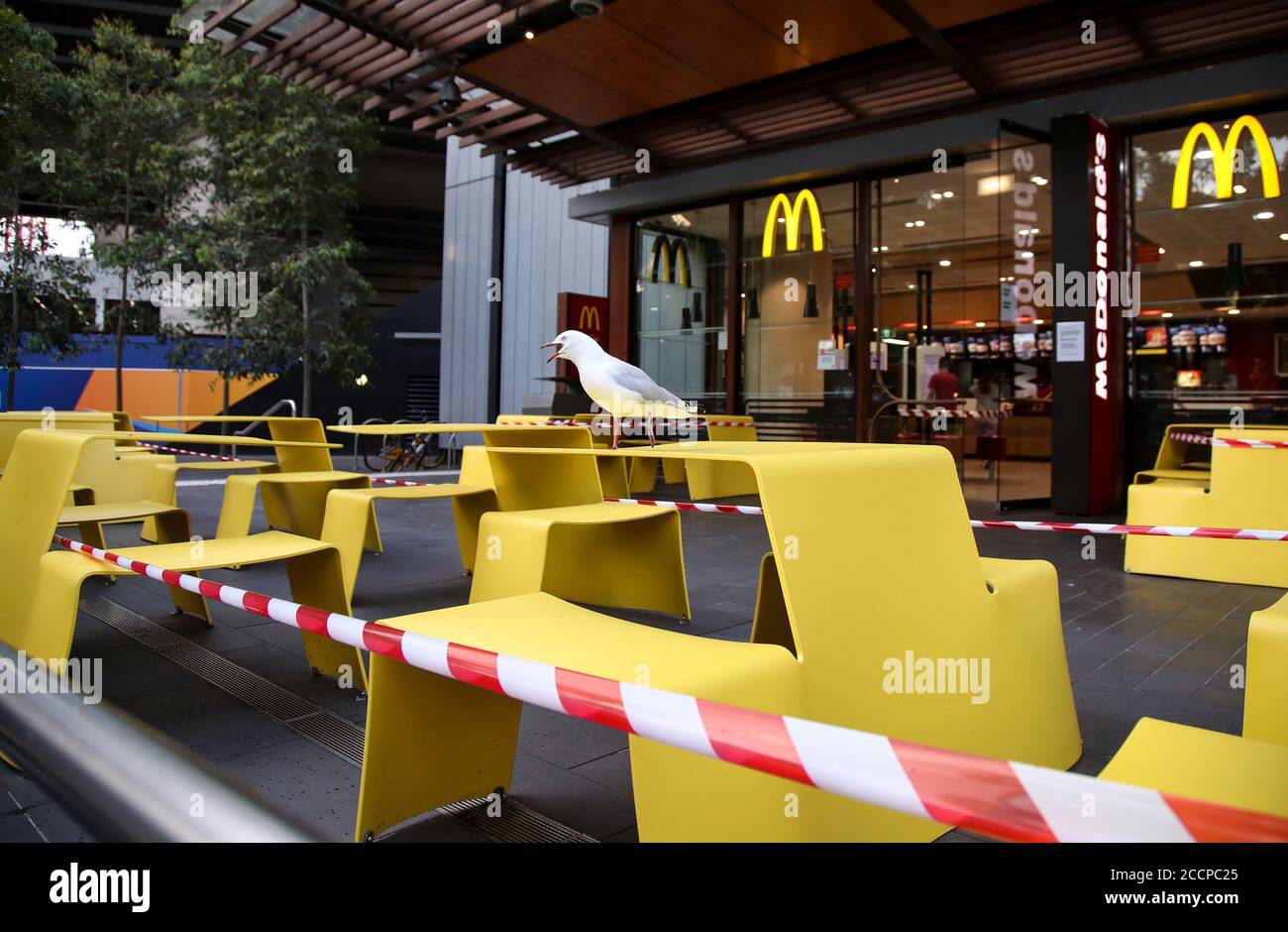 Sydney. März 2020. Das Foto vom 30. März 2020 zeigt eine Möwe auf einem McDonald's-Restauranttisch im Darling Harbour in Sydney, Australien. Die australische Tourismusindustrie verlor in den ersten drei Monaten des Jahres 2020 etwa 5.8 Milliarden australische Dollar (4.02 Milliarden US-Dollar), als die Coronavirus-Pandemie sich in Kraft setzte. Quelle: Bai Xuefei/Xinhua/Alamy Live News Stockfoto