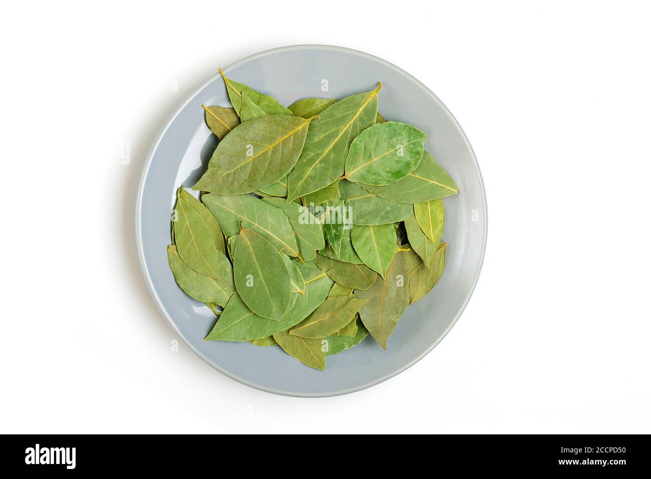 lorbeerblatt auf einer grauen Platte isoliert auf weißem Hintergrund Flat Lay Draufsicht verwendet als Gewürz beim Kochen gesund Essen Stockfoto