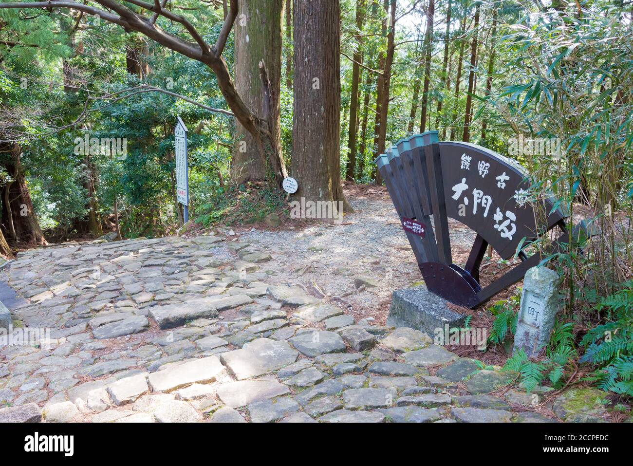 Wakayama, Japan - Daimonzaka Slope auf Kumano Kodo (Nakahechi Route) in Nachikatsuura, Wakayama, Japan. Es ist Teil des UNESCO-Weltkulturerbes. Stockfoto