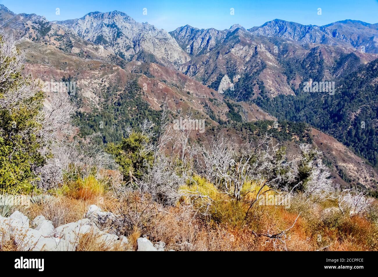 Herbstansicht der Ventana Wilderness vom Mount Manuel Trail Stockfoto