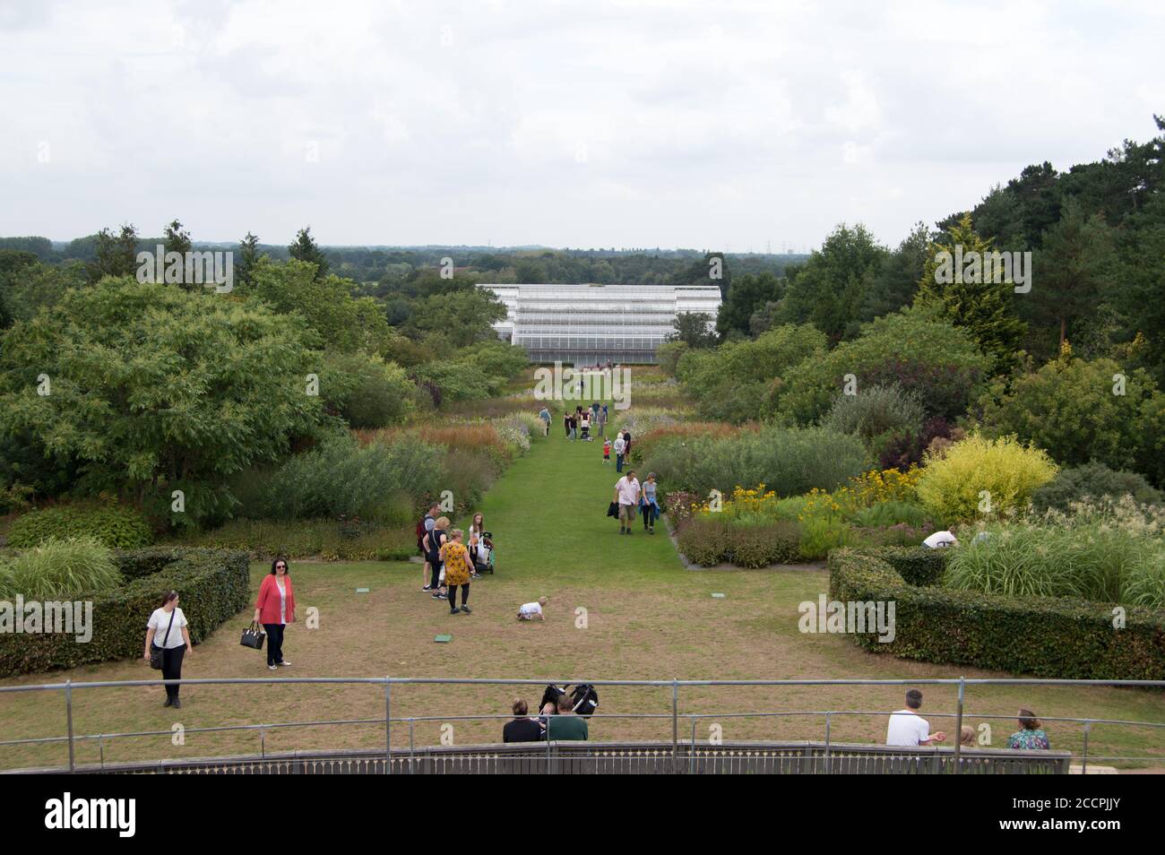 Blick hinunter zum Gewächshaus auf der RHS Wisley, Surrey, England Stockfoto