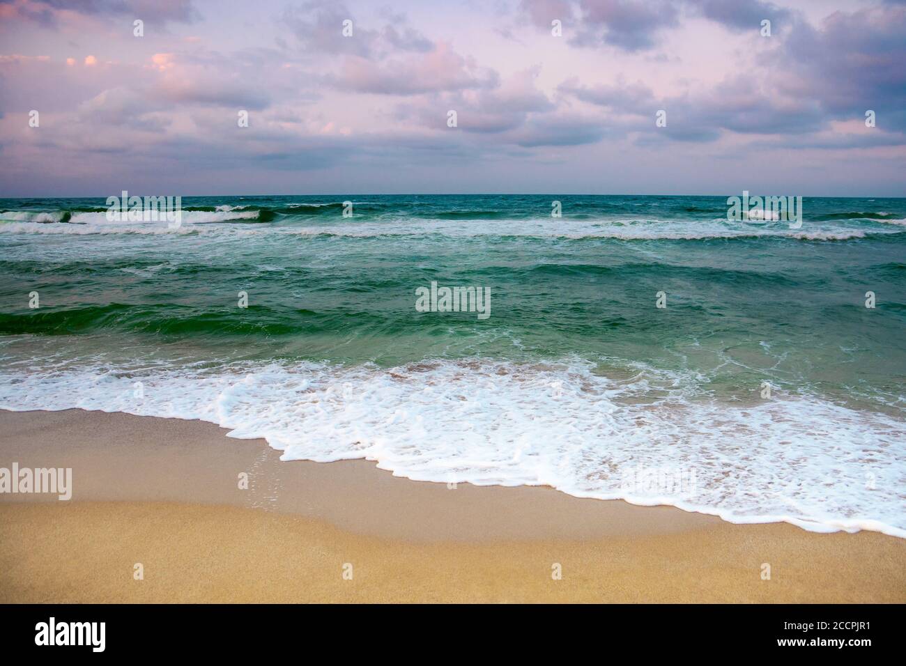 Dramatisches Wetter an der Küste. Grüne Wellen krachen am Strand. wolkiger, violetter Himmel im Abendlicht Stockfoto