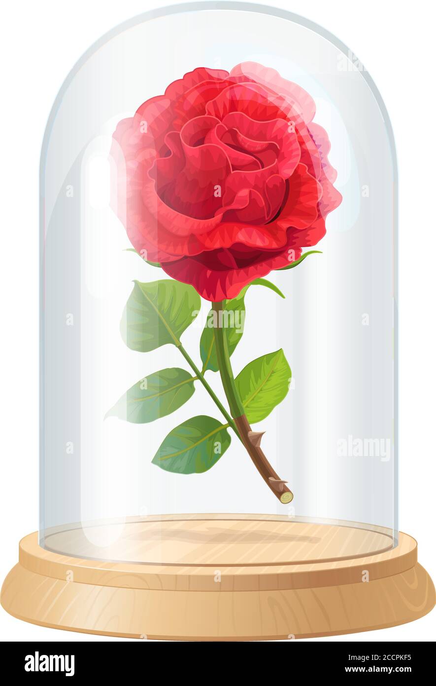 DIY Malen Nach Zahlen 'Rosen In Glaskuppel' – 40,6 X 50,8 Cm, Inkl. Leinwand, Farben & Pinsel