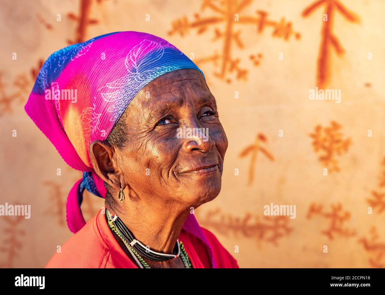 Porträt der alten Fulani Frau mit Gesichts-Tattoos Stockfoto