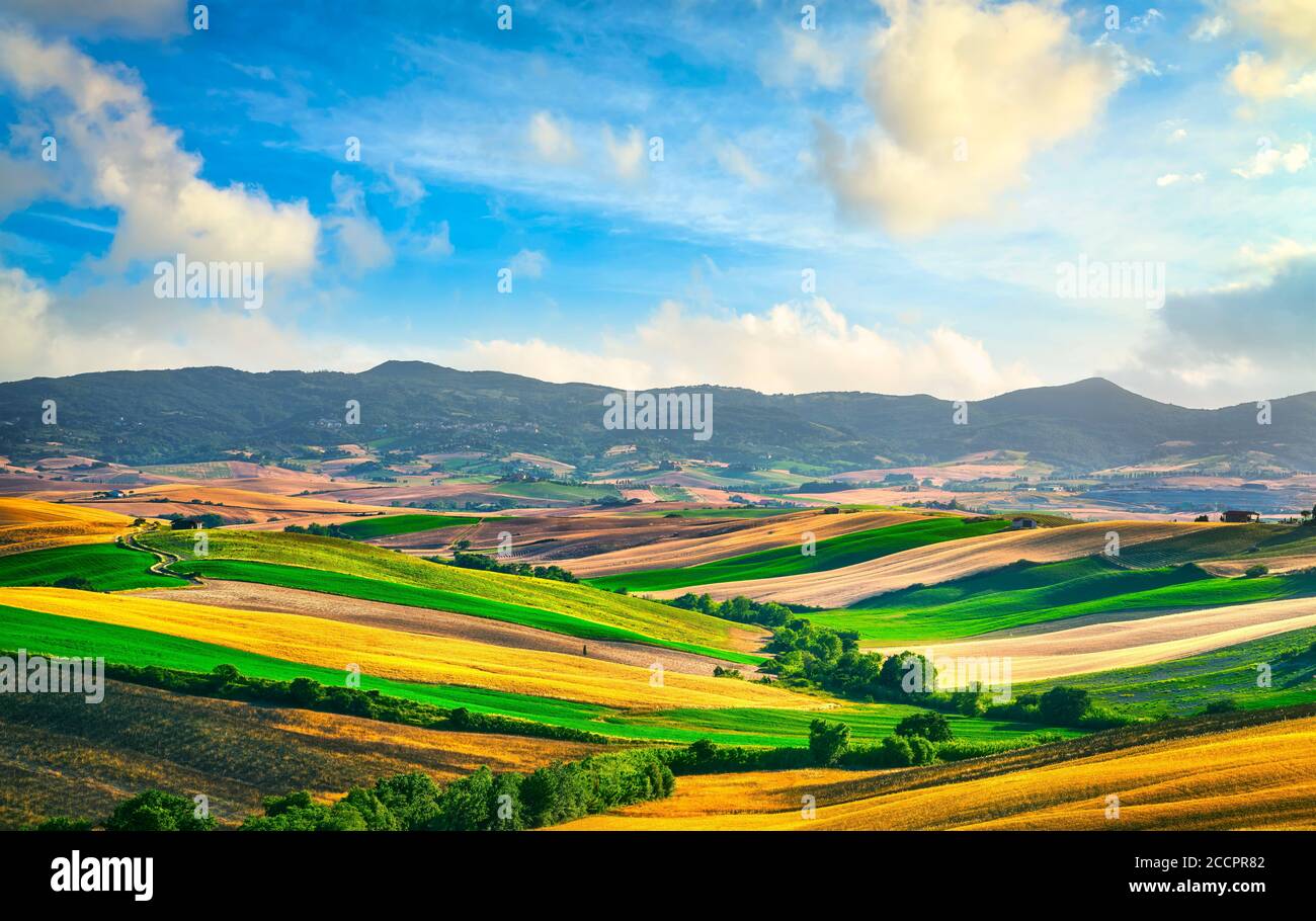 Toskanisches Landpanorama, sanfte Hügel und grüne Felder bei Sonnenuntergang. Santa Luce, Pisa Italien, Europa Stockfoto