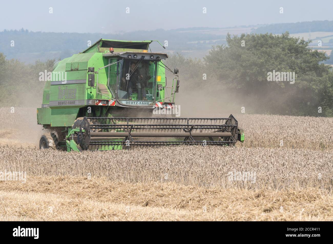 DEUTZ-Fahr 4065 Mähdrescher Schneiden 2020 UK Weizenernte an heißen Sommertagen & Füllung Luft mit Staub. Zinkenrolle und Fahrerkabine sichtbar. Siehe HINWEISE Stockfoto