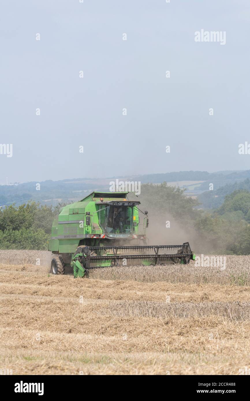 DEUTZ-Fahr 4065 Mähdrescher Schneiden 2020 UK Weizenernte an heißen Sommertagen & Füllung Luft mit Staub. Zinkenrolle und Fahrerkabine sichtbar. Siehe HINWEISE Stockfoto