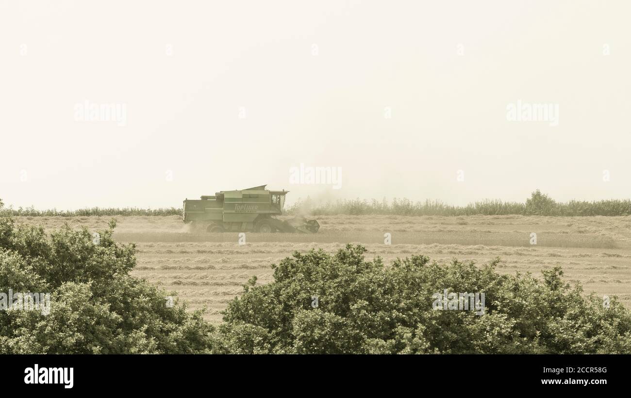 Manipuliertes stilisiertes Bild von Deutz-Fahr Mähdrescher auf Hügelkamm & umgeben von Staub & Spreu Wolken, wie es UK Weizenfeld schneidet. Heißes Wetter. Stockfoto