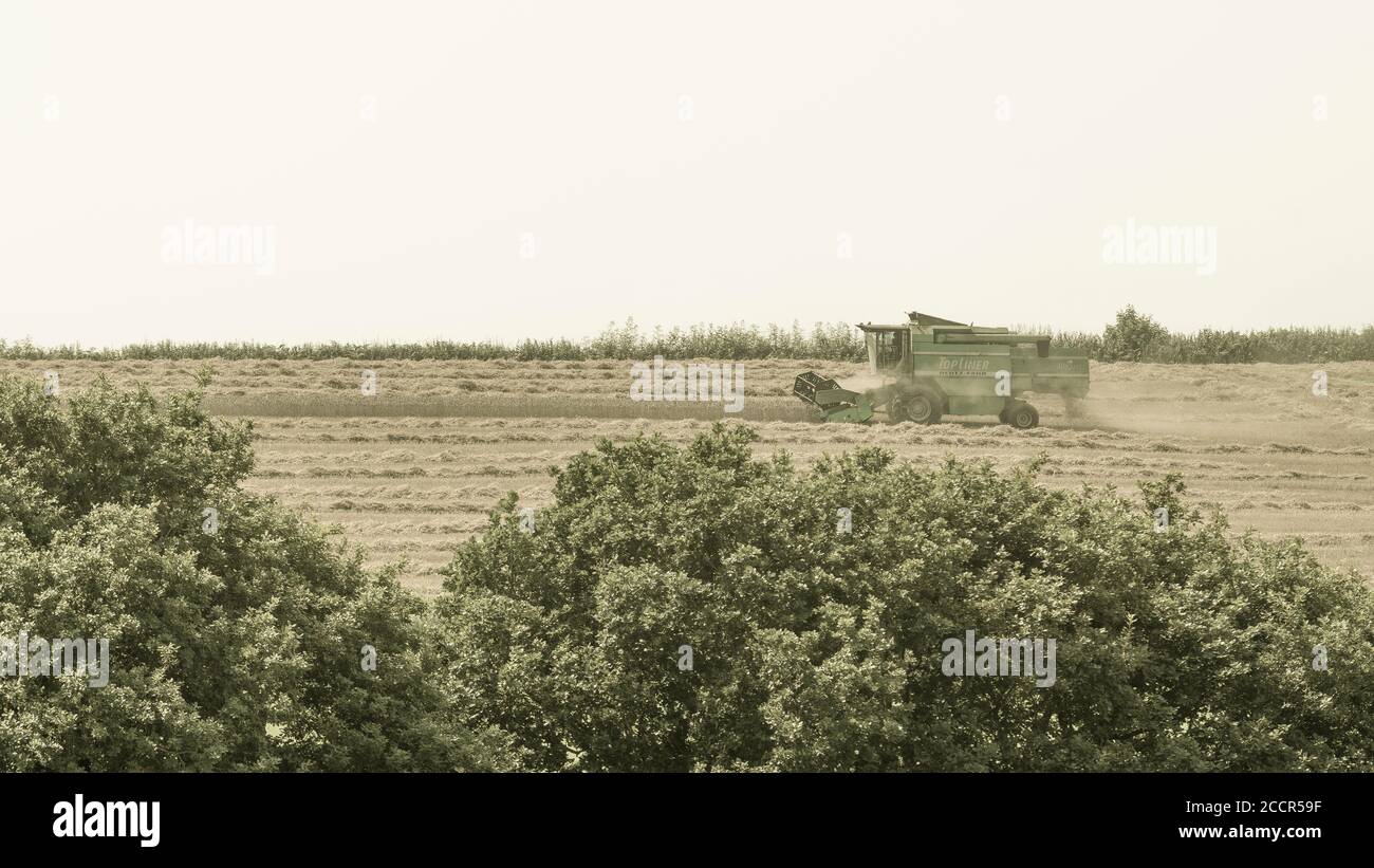 Manipuliertes stilisiertes Bild von Deutz-Fahr Mähdrescher auf Hügelkamm & umgeben von Staub & Spreu Wolken, wie es UK Weizenfeld schneidet. Heißes Wetter. Stockfoto