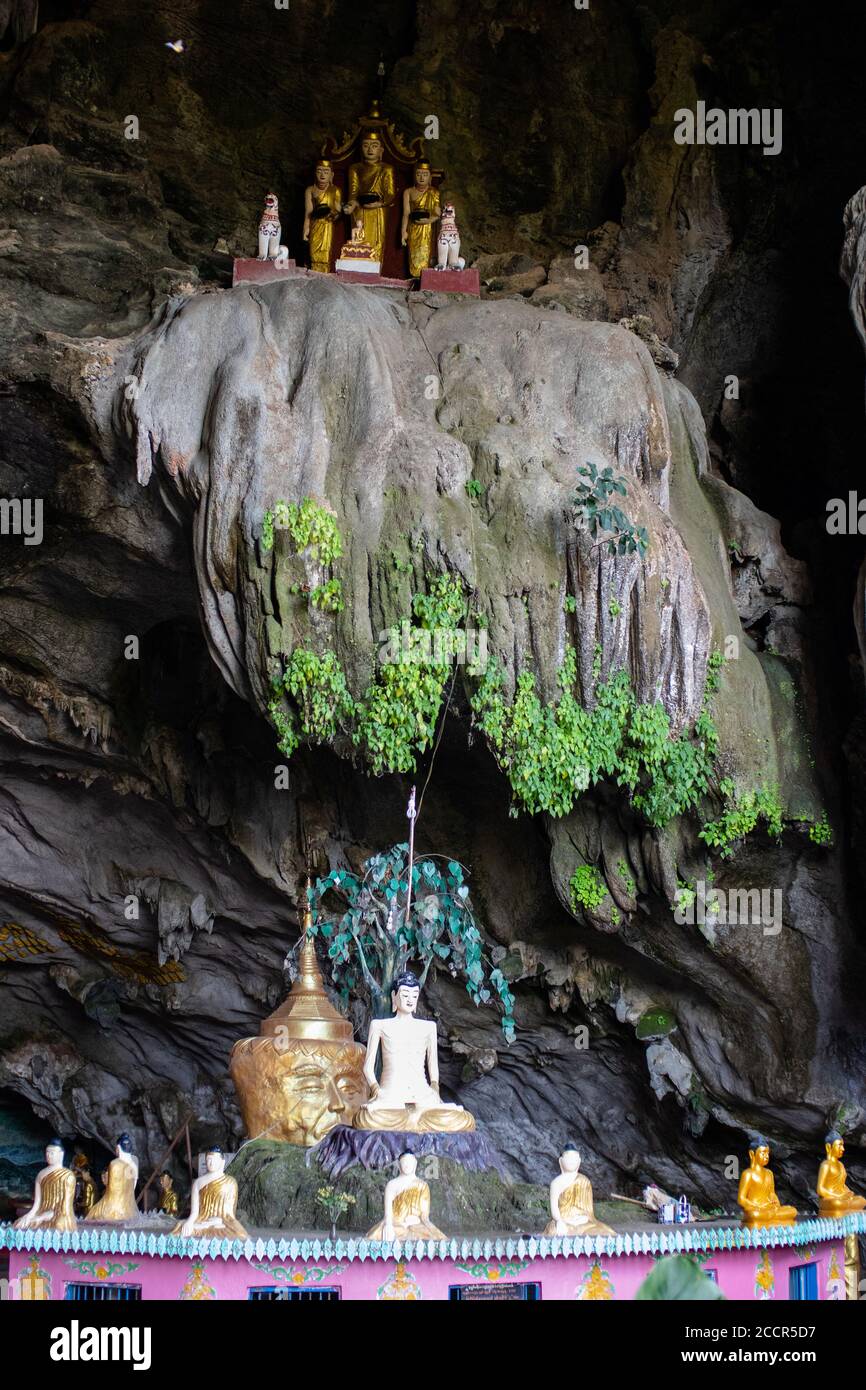 Buddha Figuren in einem Tempel auf einer heiligen Höhle gebaut. Abbildungen über und unter den Stalaktiten. Karstlandschaft bei hPa an, Myanmar, Burma, Asien Stockfoto