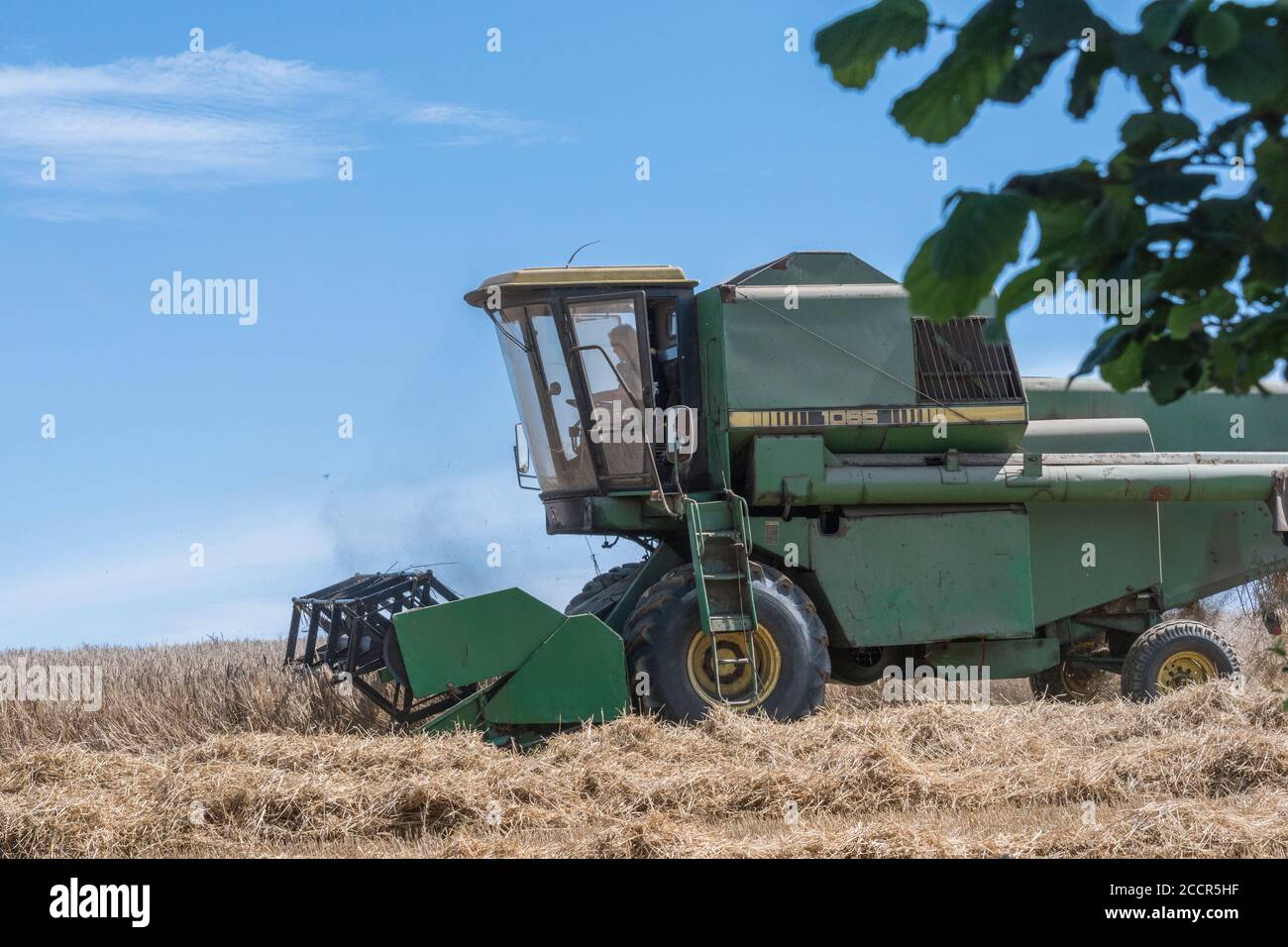 John Deere Mähdrescher Schneiden Weizenernte in der Sommersonne. Vorderer Schneidwerkkopf, Zinkenrolle und Seitenrohr sichtbar. Für 2020 UK Weizenfeld Ernte. Stockfoto