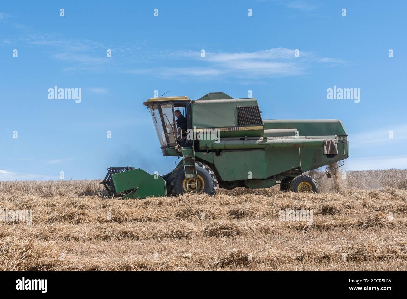 John Deere Mähdrescher Schneiden Weizenernte in der Sommersonne. Vorderer Erntevorsatz, Zinkenrolle, Seitenrohr und Strohschüttler sichtbar. Für 2020 UK Weizenernte. Stockfoto